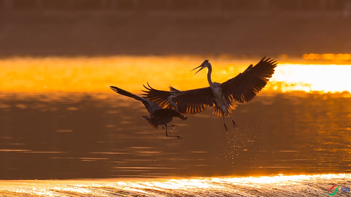 DSCy_0443 - ����.jpg