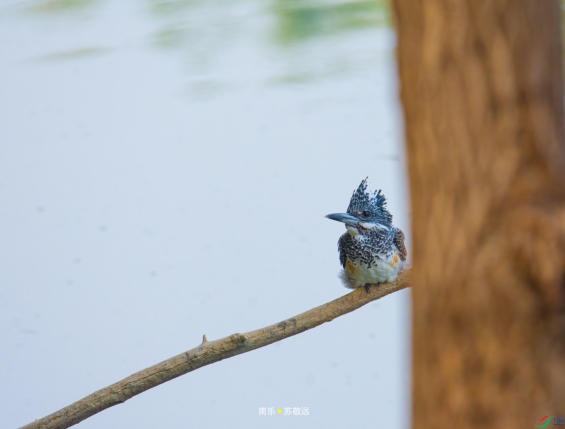 _DSC1703С.jpg