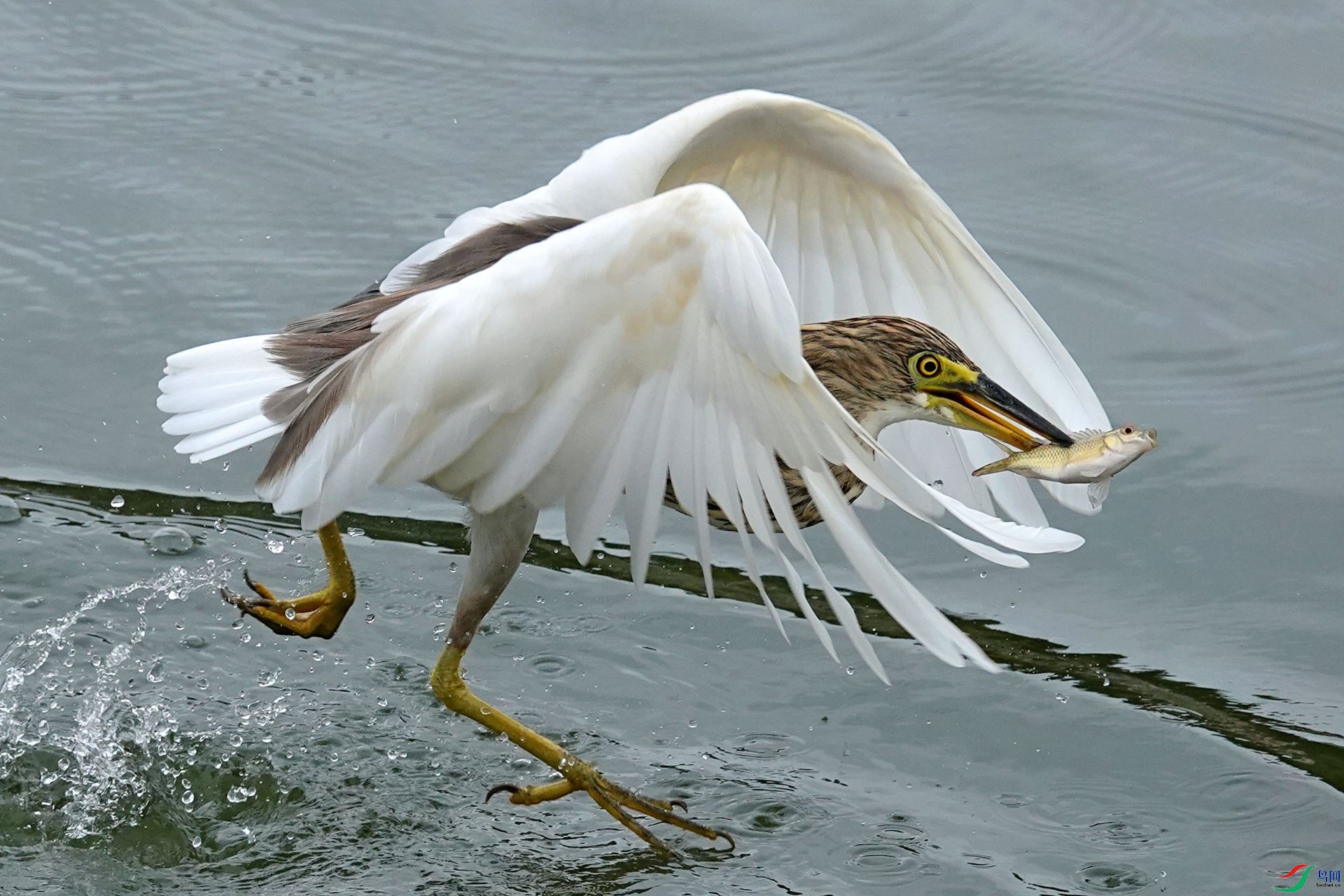 ���񣡣���