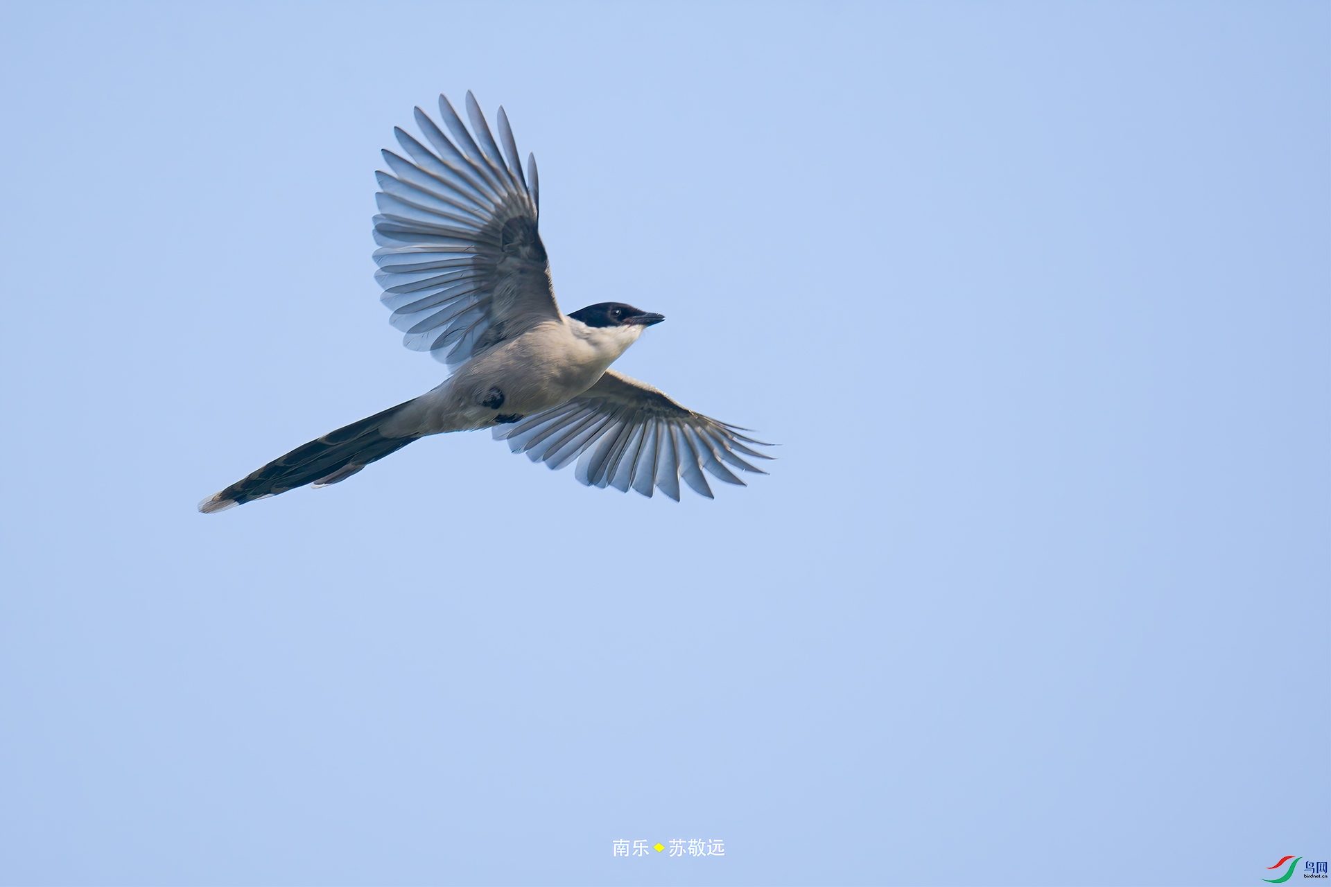 _DSC1067С.jpg