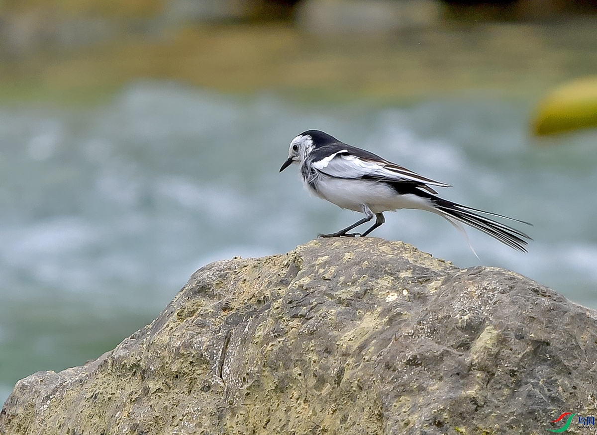 DSC_0683.JPG