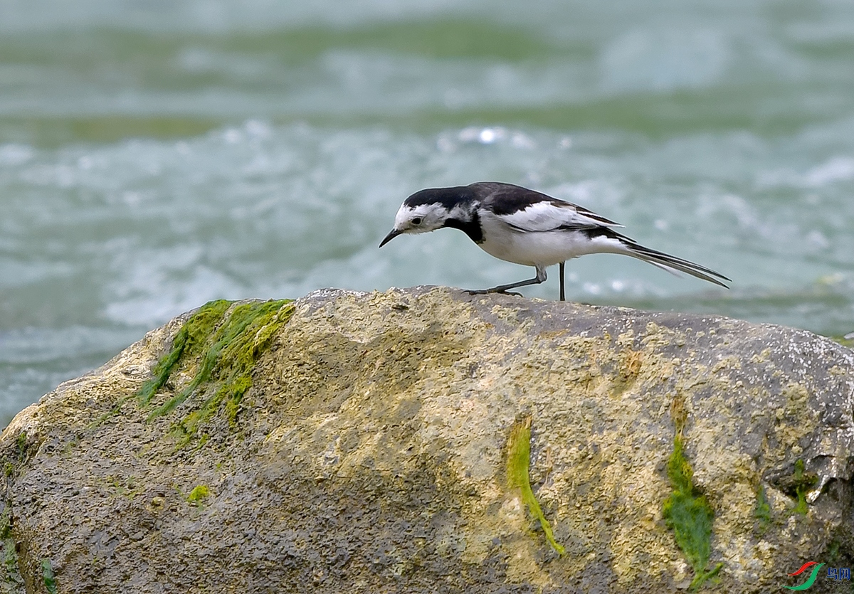 DSC_0692.JPG