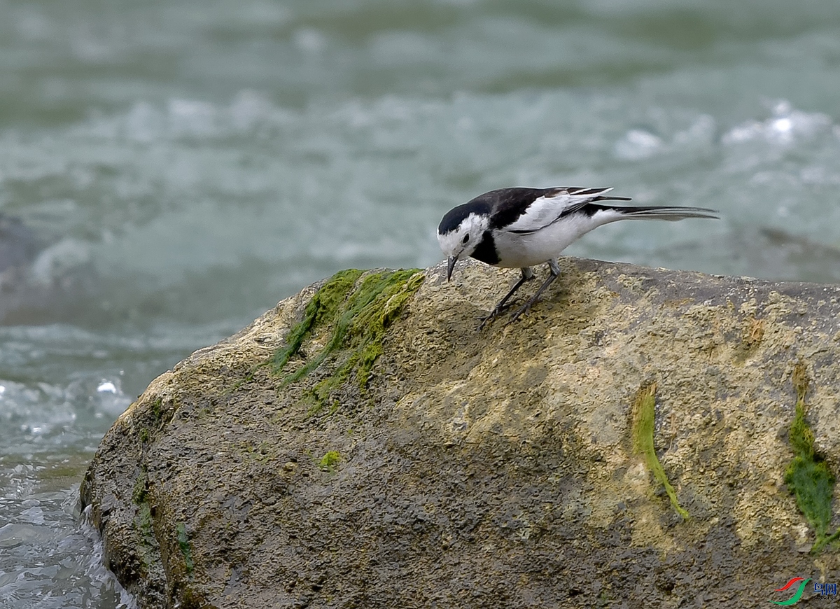DSC_0695.JPG