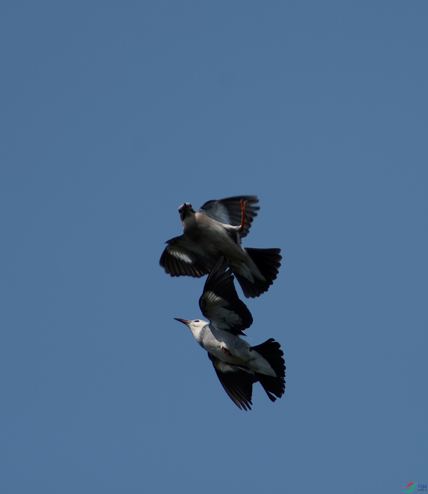 _DSC0915-27.jpg