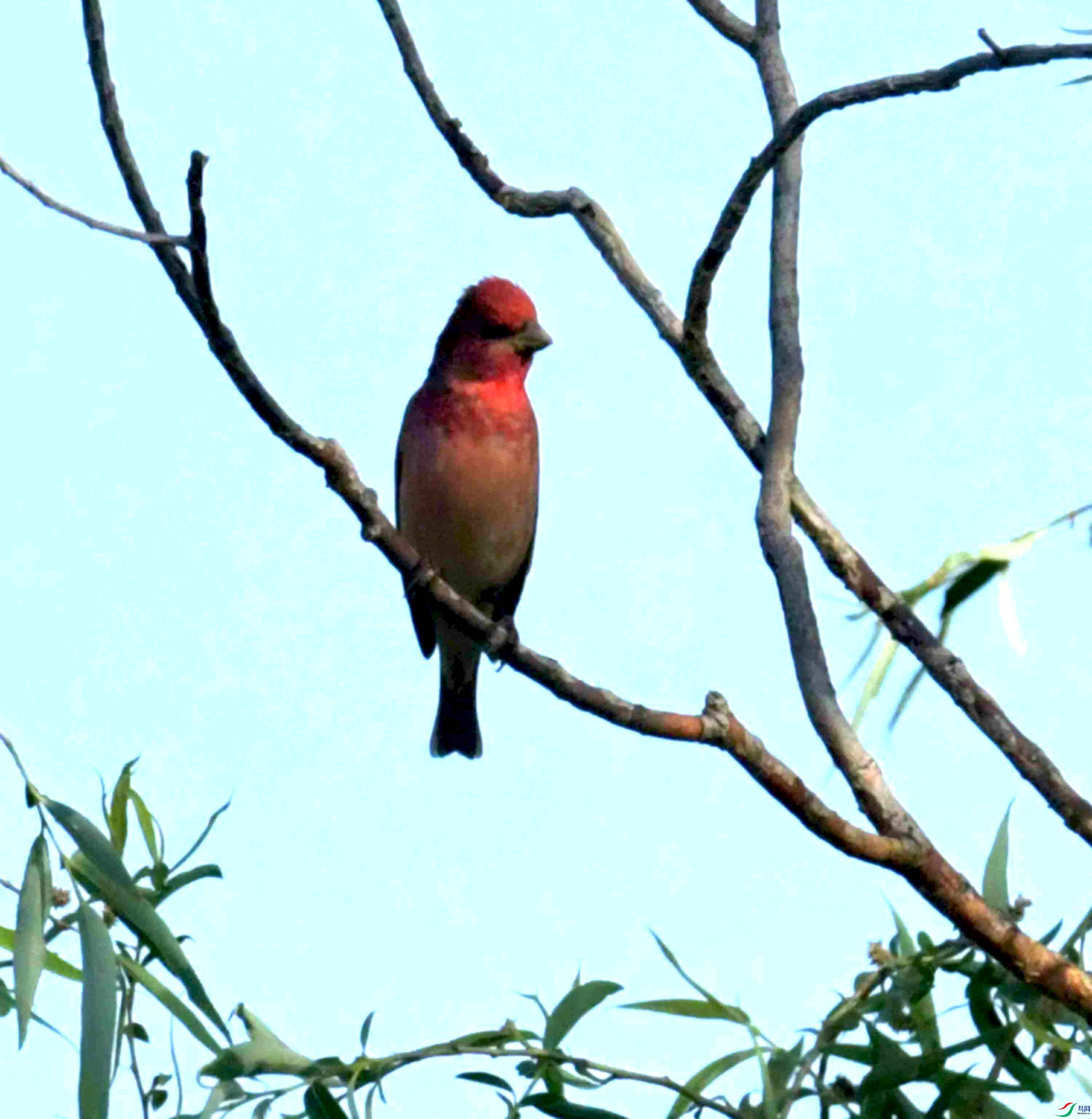 DSC_7607.JPG