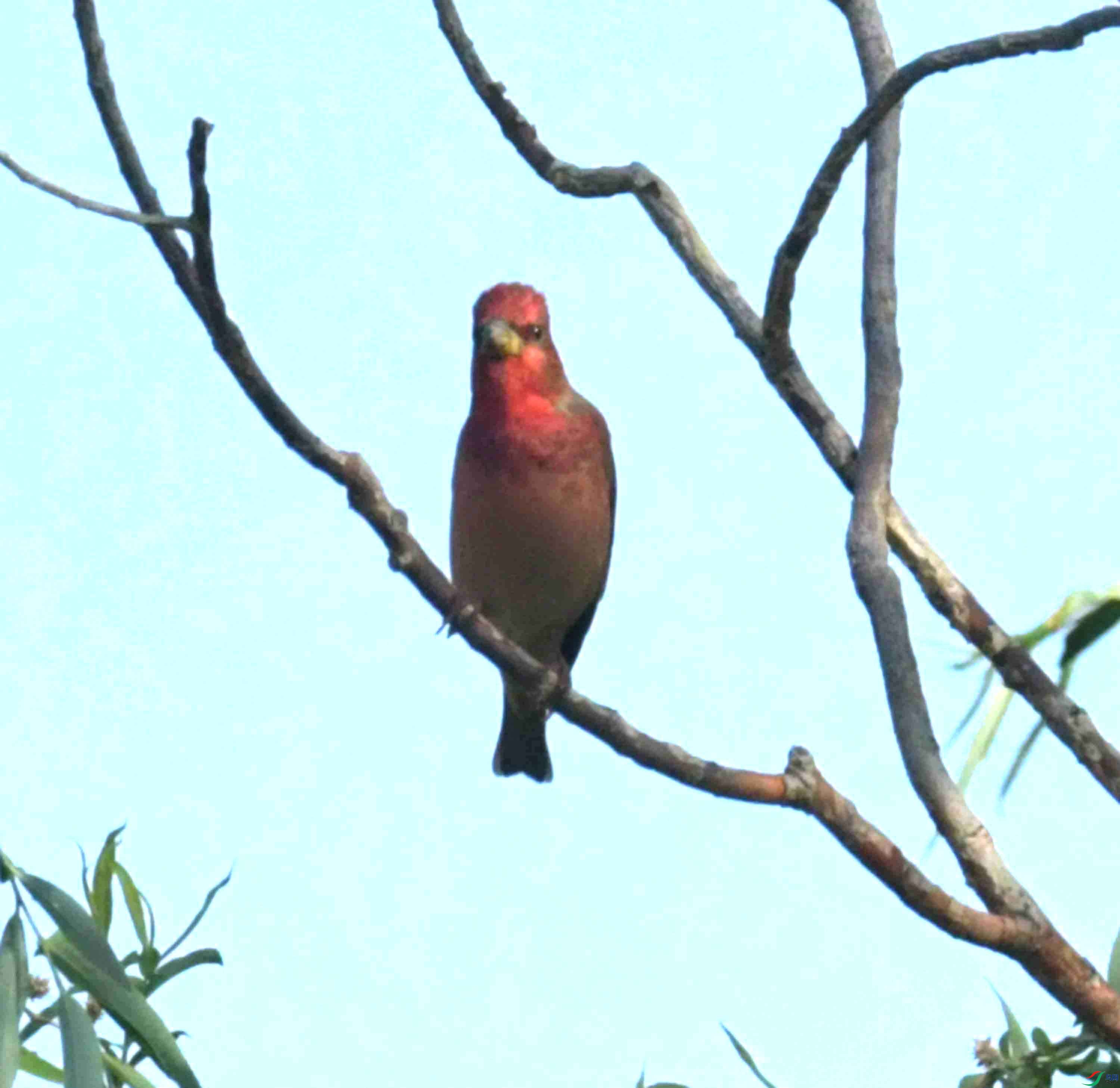 DSC_7601.JPG