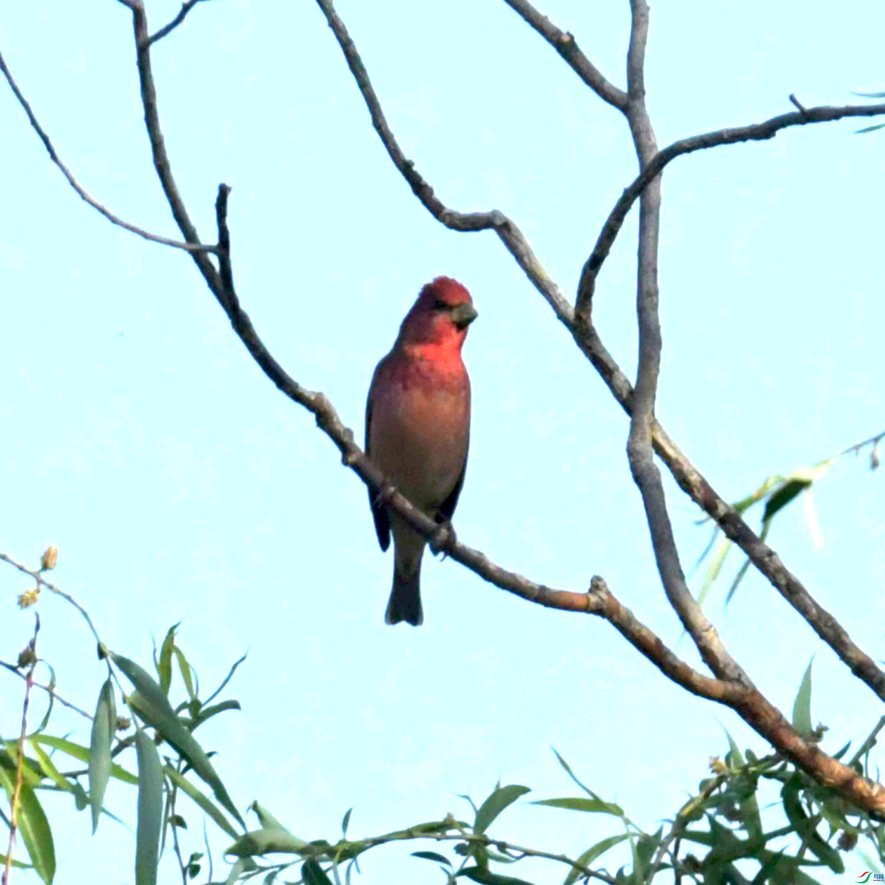 DSC_7612.JPG