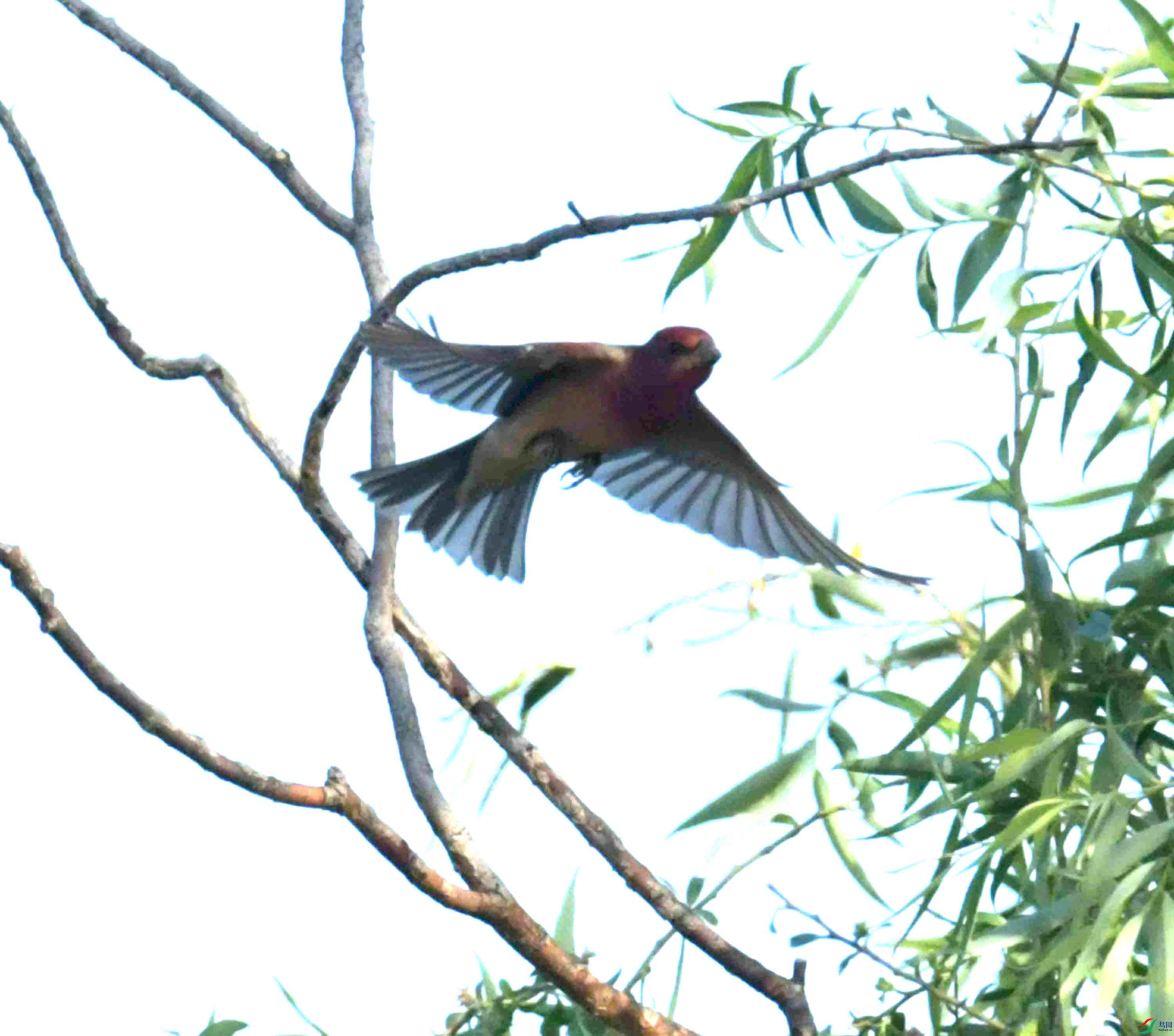 DSC_7615.JPG