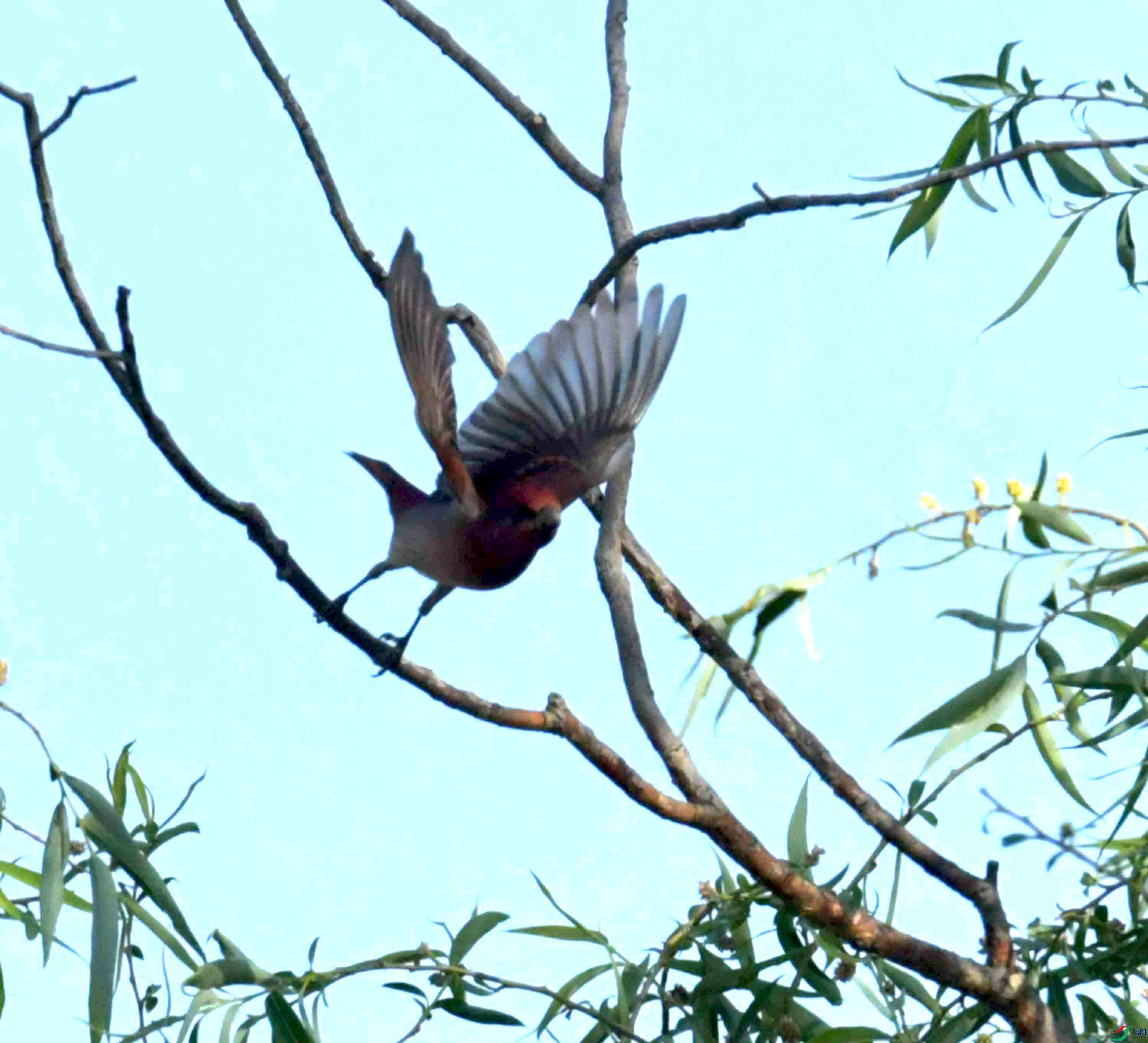 DSC_7614.JPG
