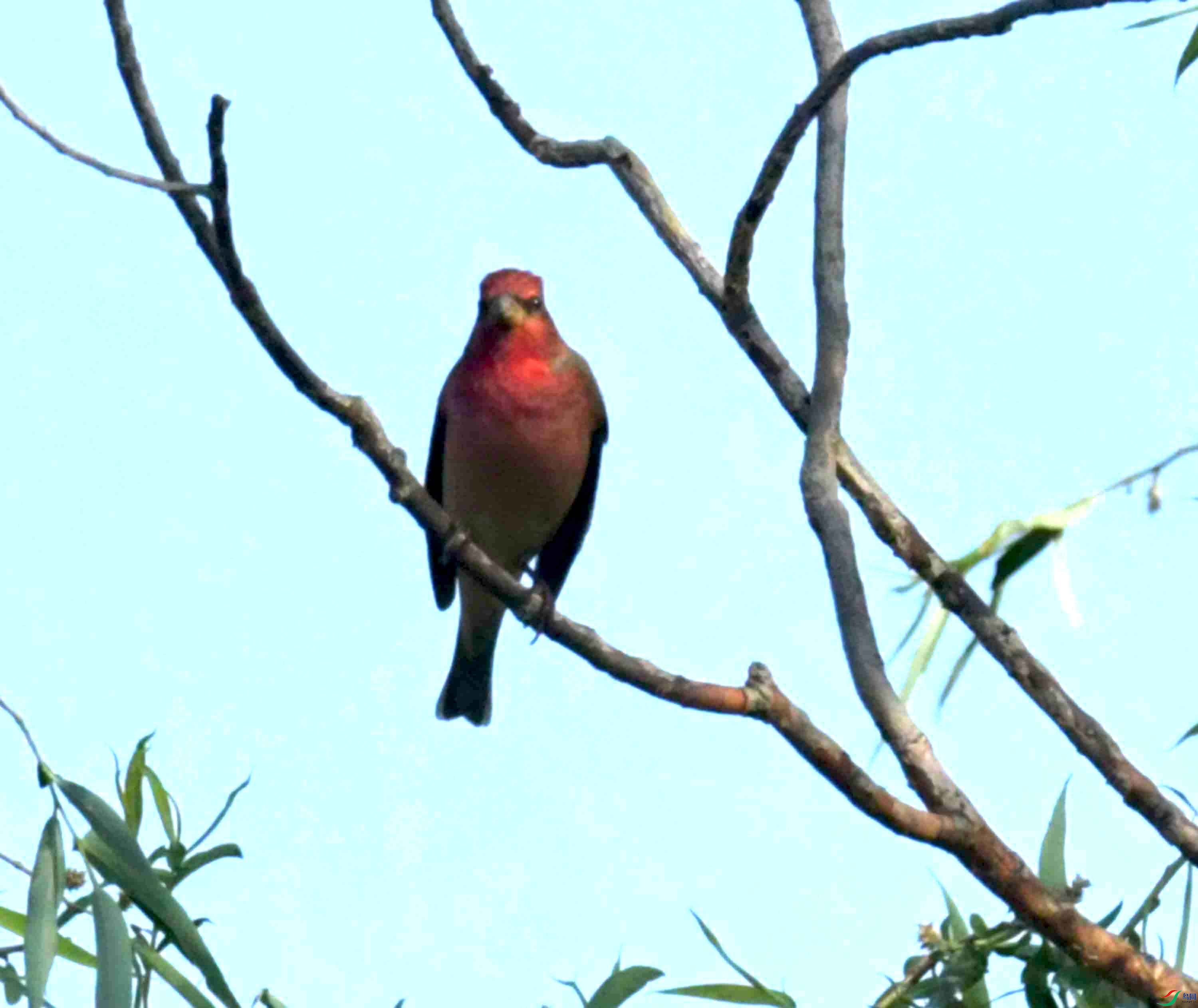 DSC_7613.JPG