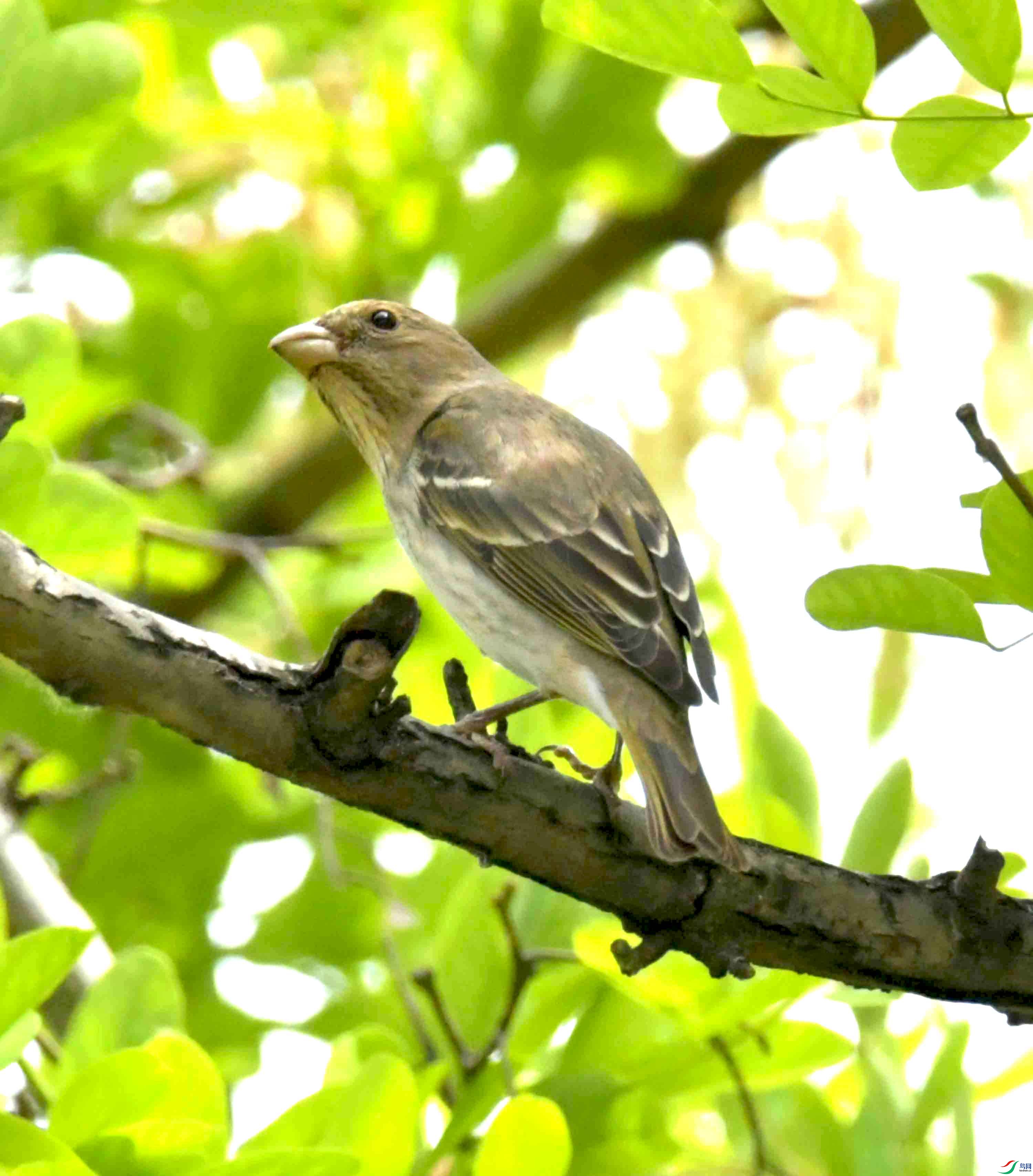 DSC_8000.JPG