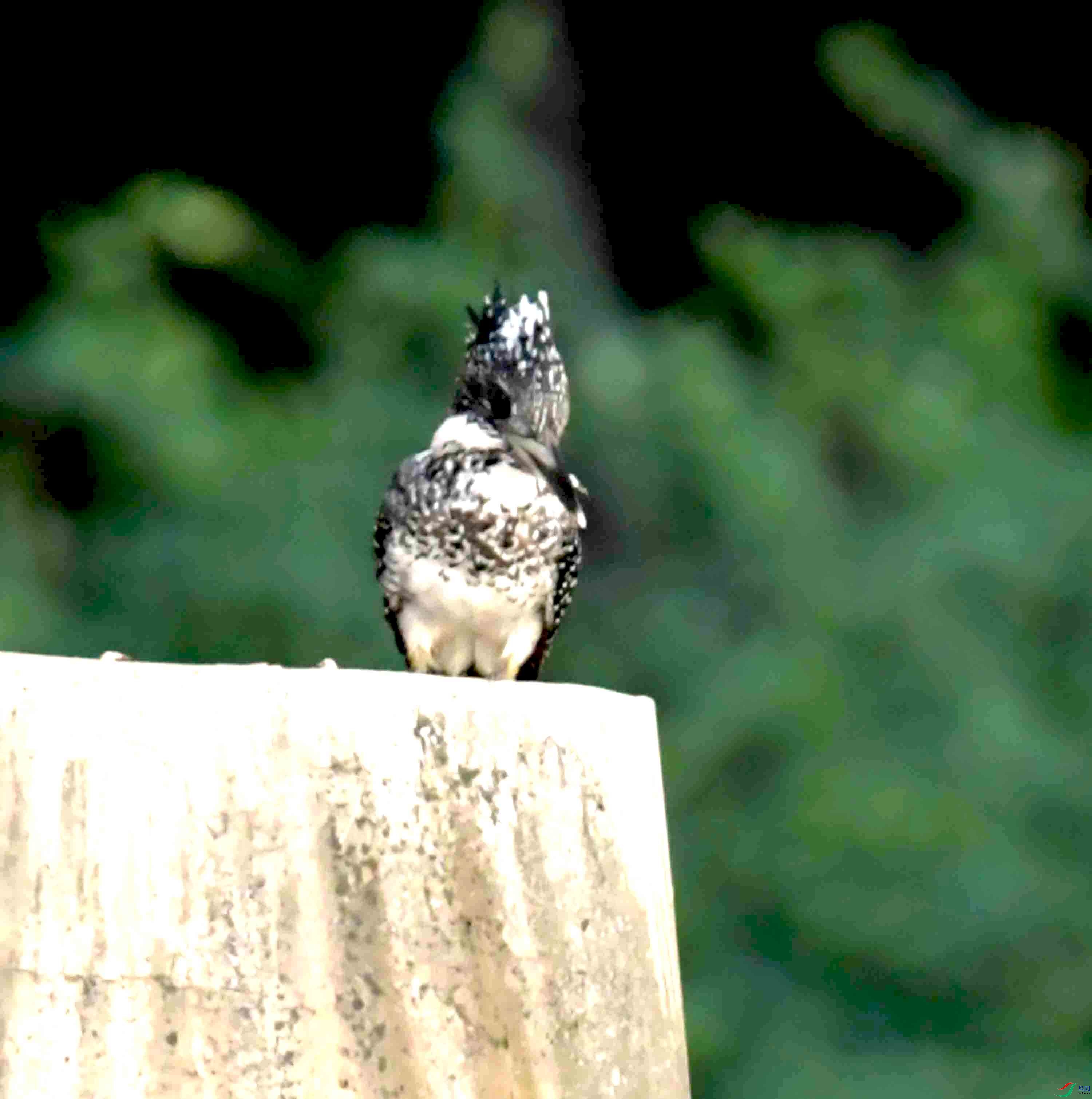 DSC_5441.JPG