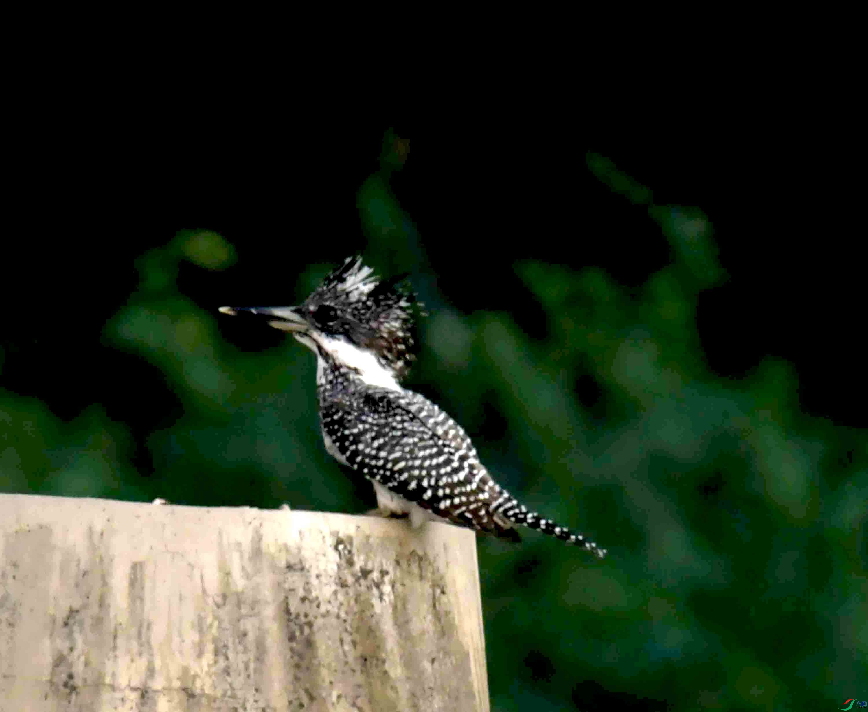 DSC_5437.JPG