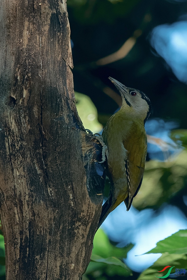 DSC_4874_DxOa.jpg