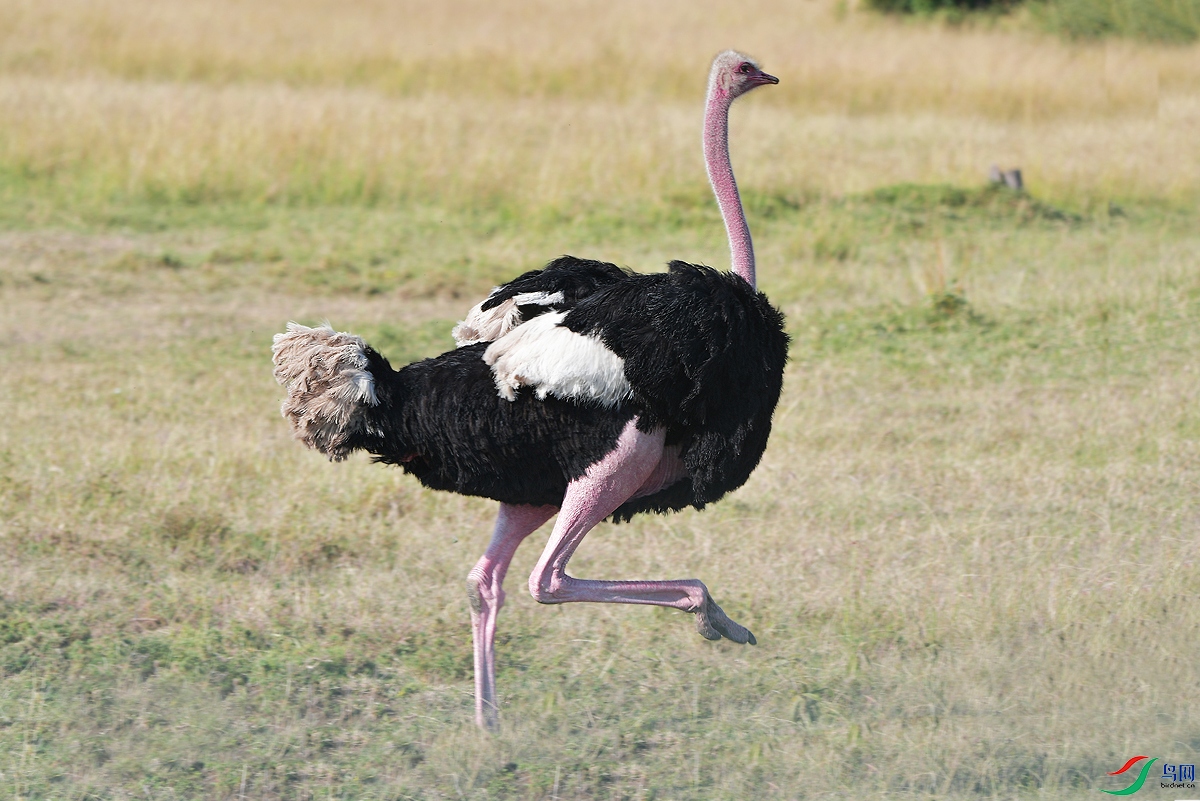 DSC_4955.JPG
