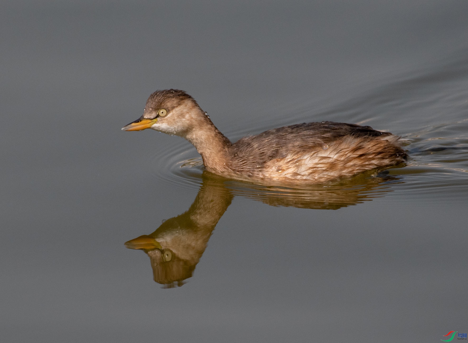 DSC_3382.jpg