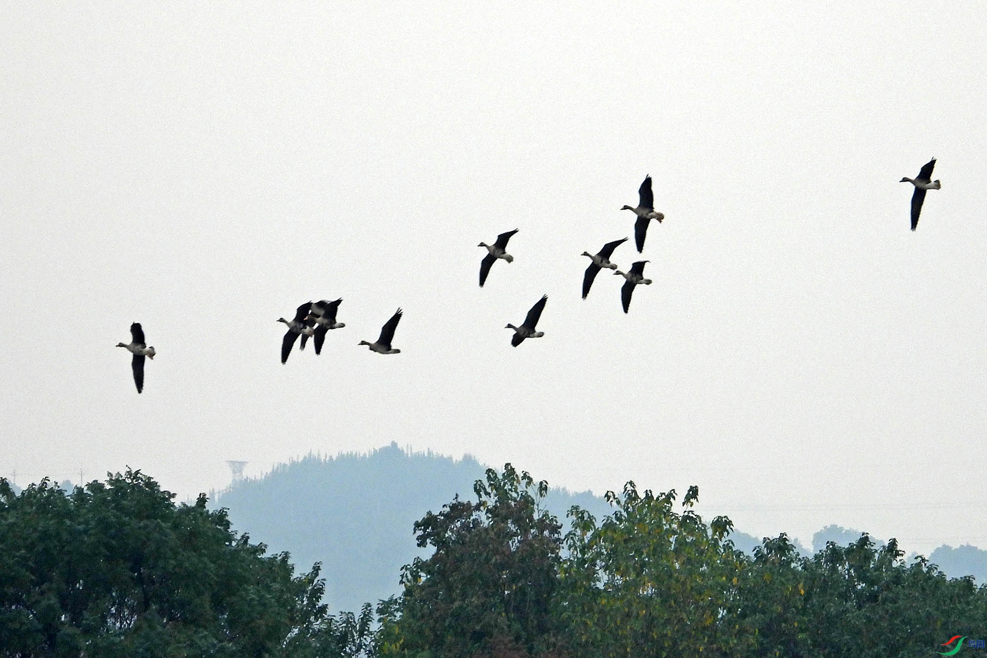 DSCN8969.jpg