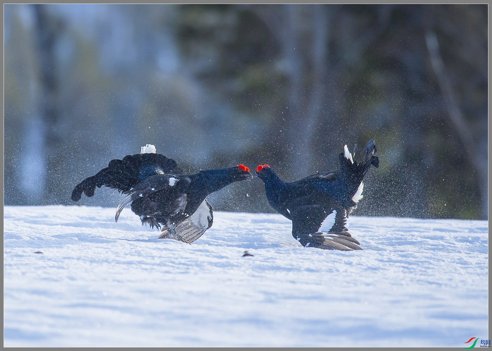 ��DSC_3441.jpg