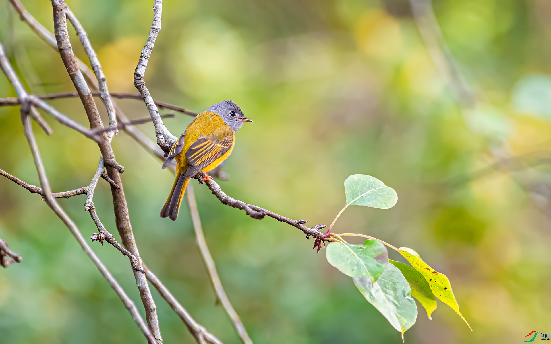 _DSC6380.jpg