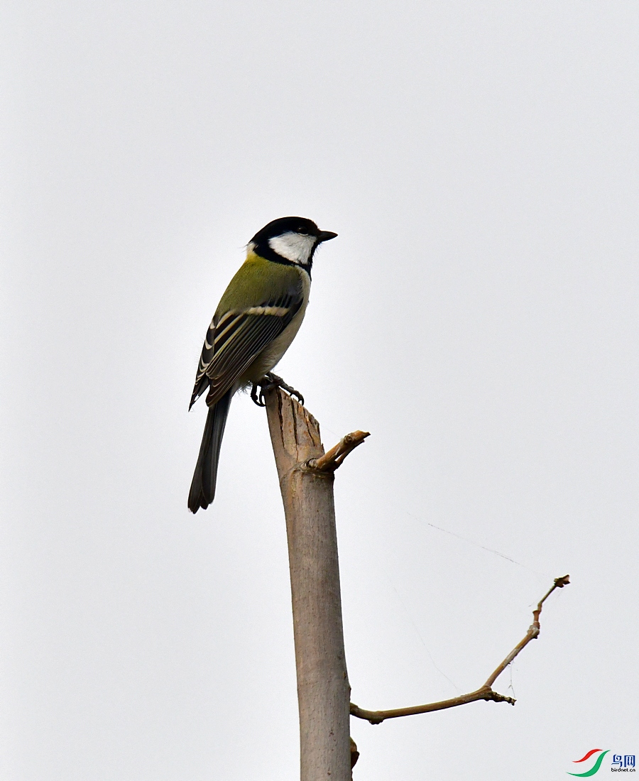 DSC_8035.JPG
