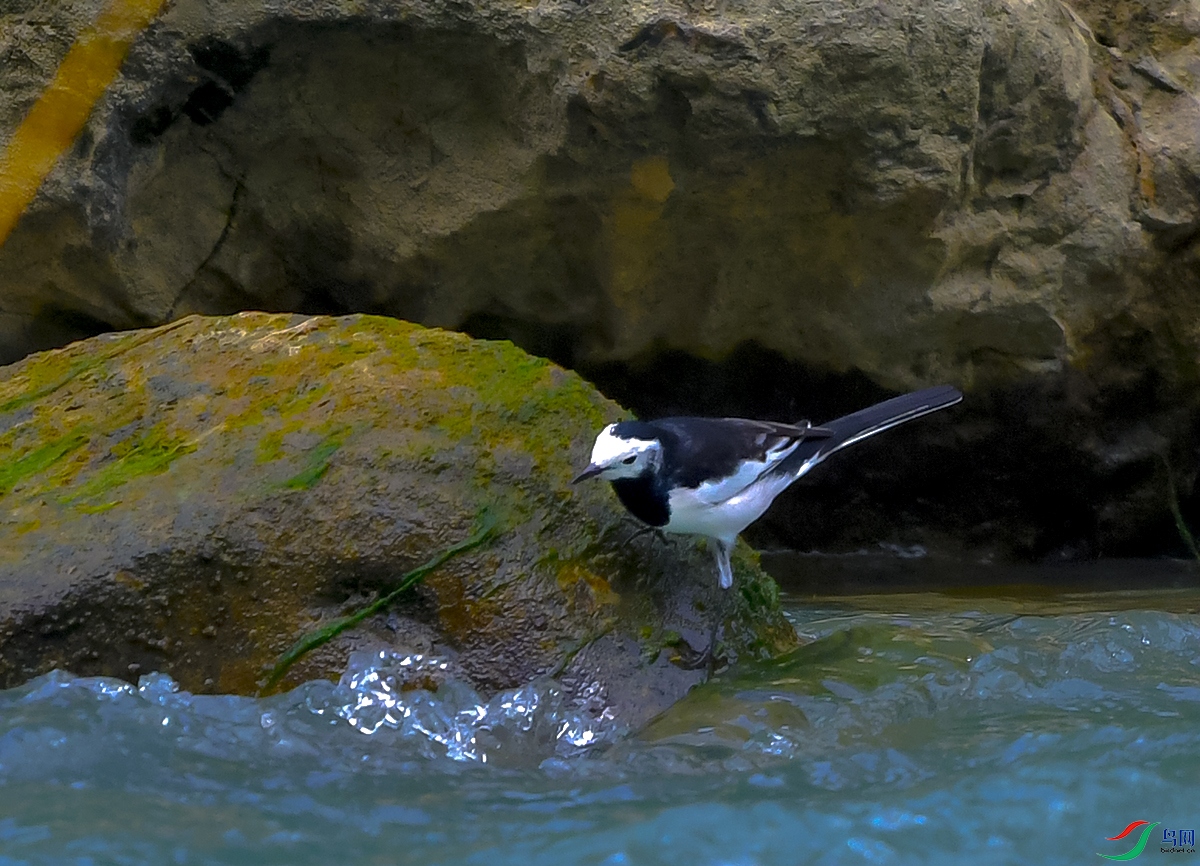 DSC_0669.JPG