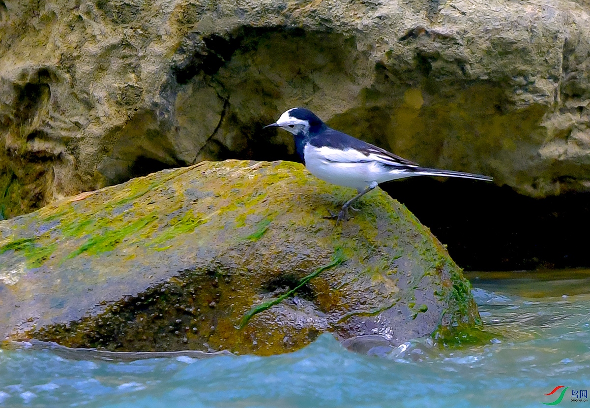 DSC_0674.JPG
