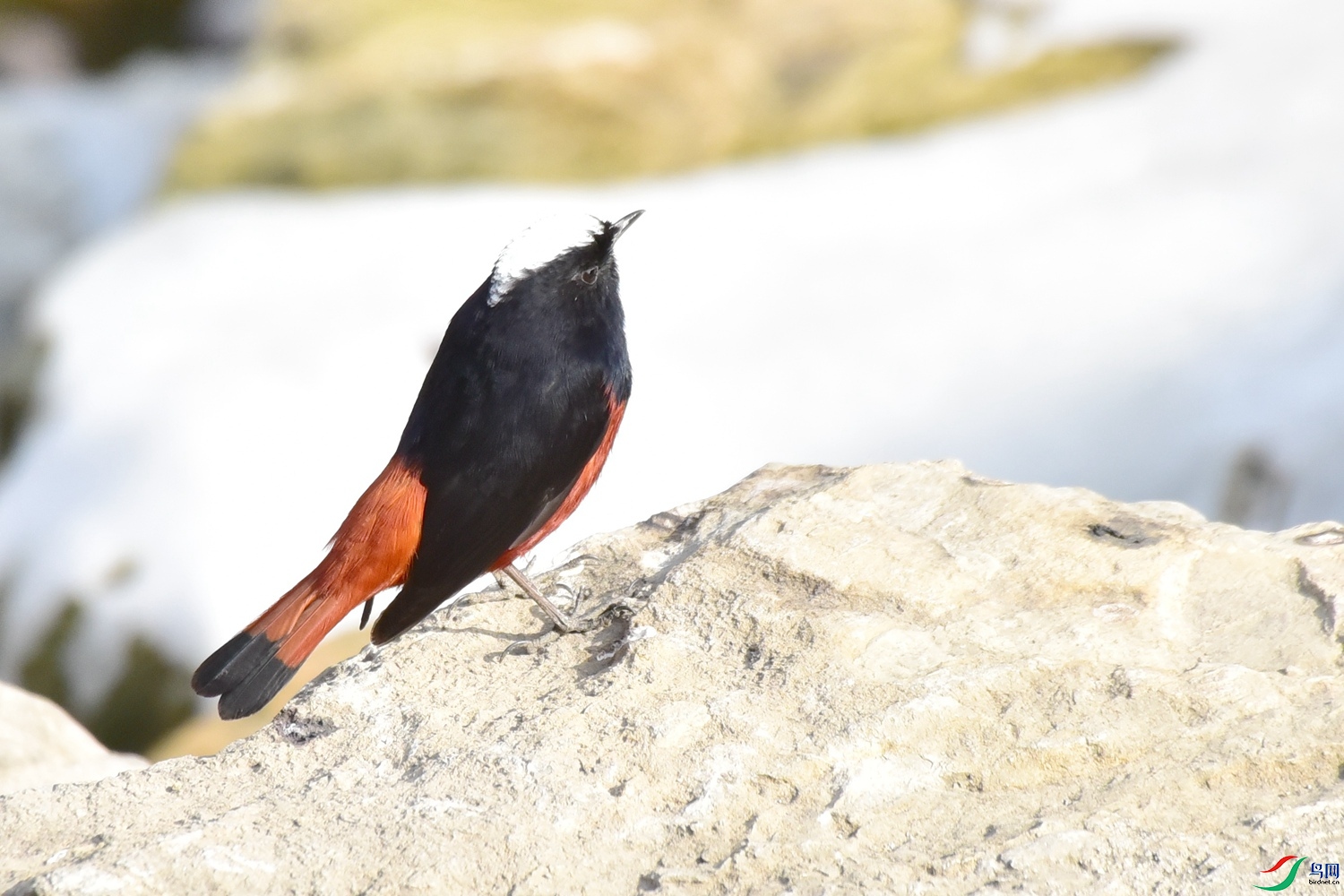 DSC_3734.JPG