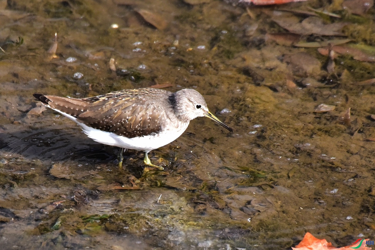 DSC_3876.JPG