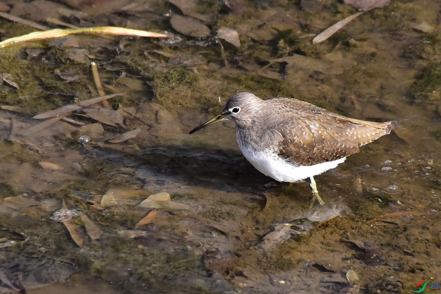 DSC_3862.JPG