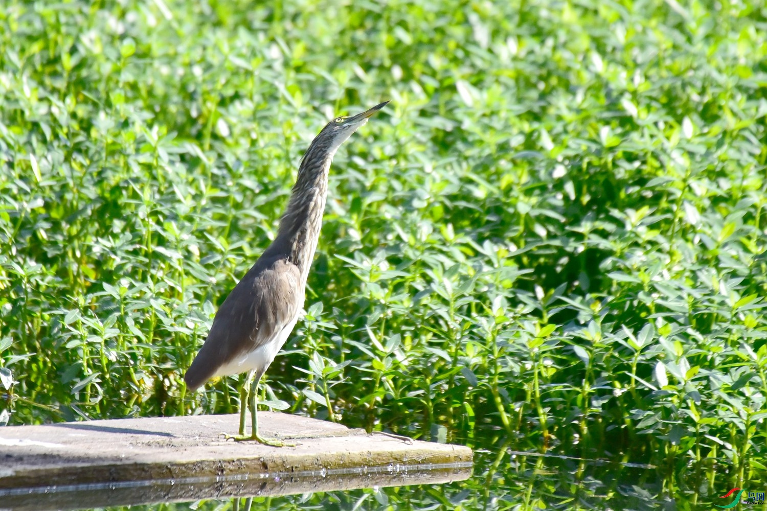 DSC_2069.JPG