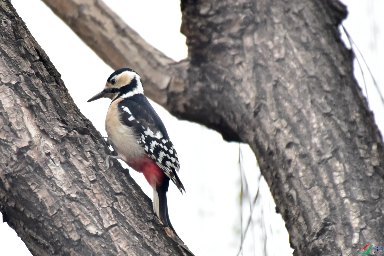 DSC_0829.JPG