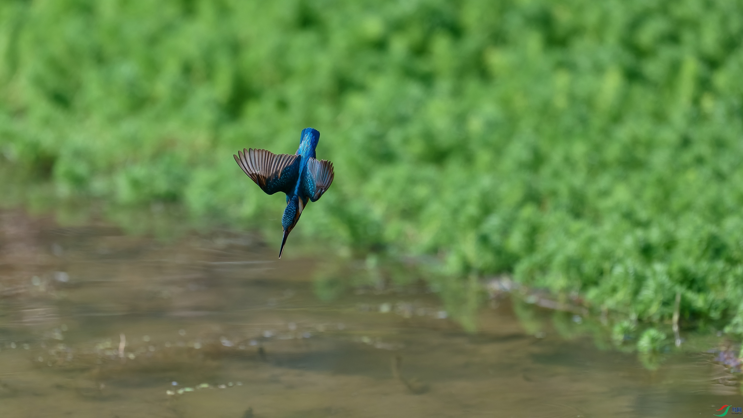 DSC_2875-NEF.jpg