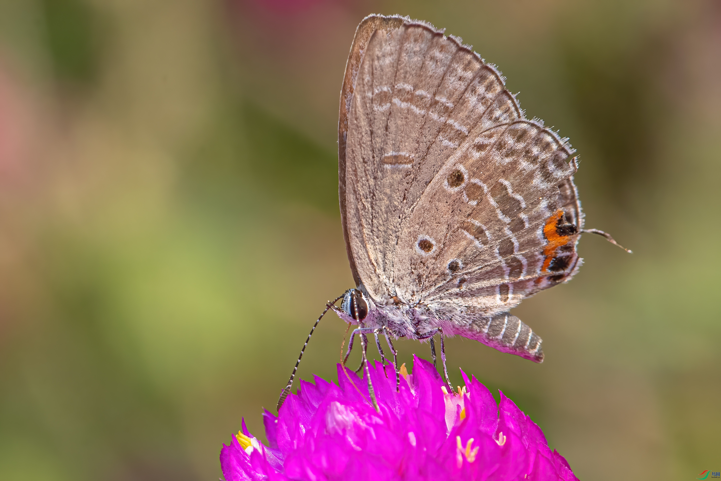 DSC_9285.jpg