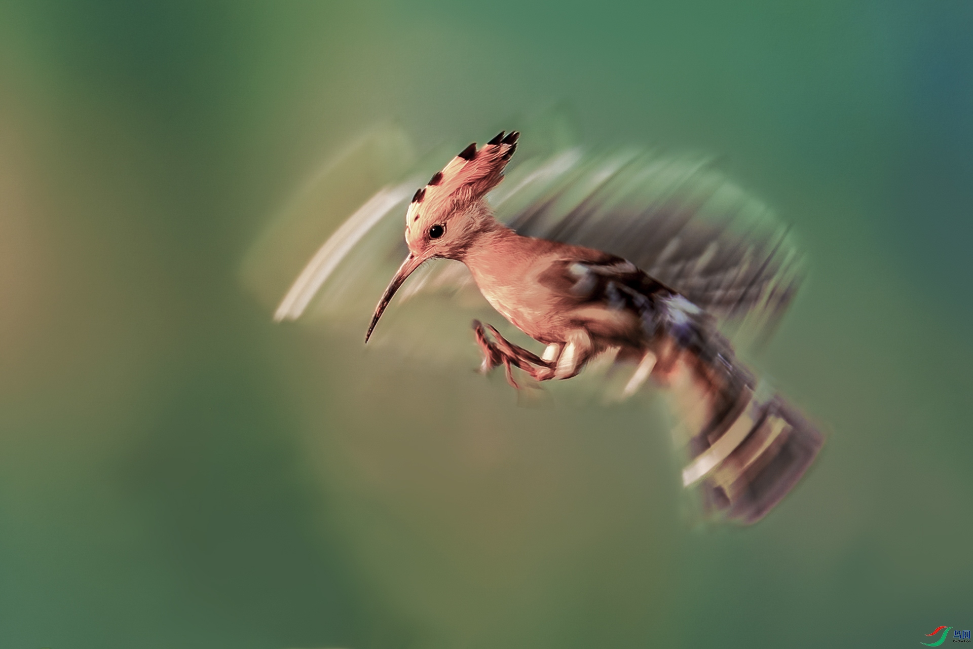 _B5A0925.jpg