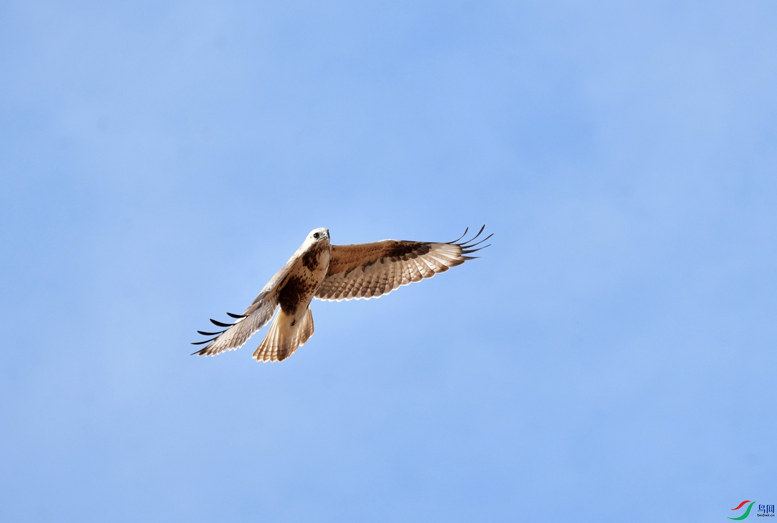 DSC_5465_��ͼ��_����333.jpg