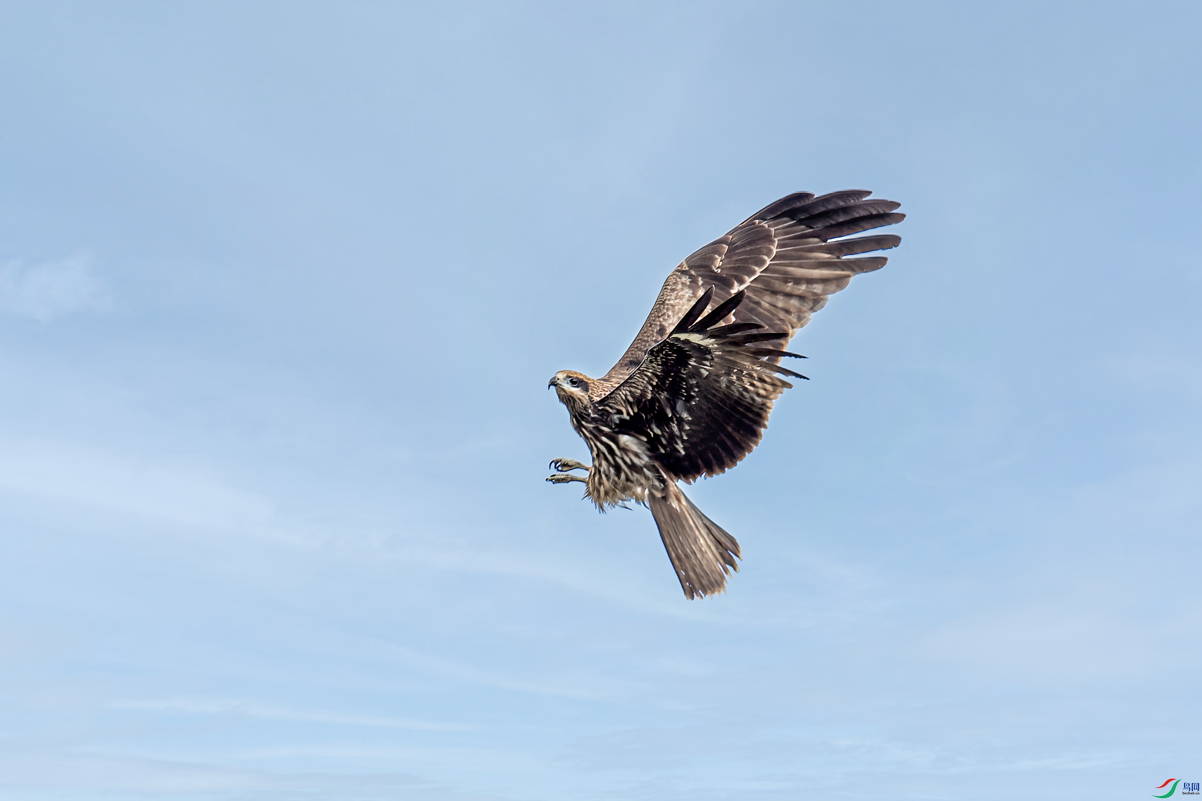 DSC_1369 ���� 2.jpg