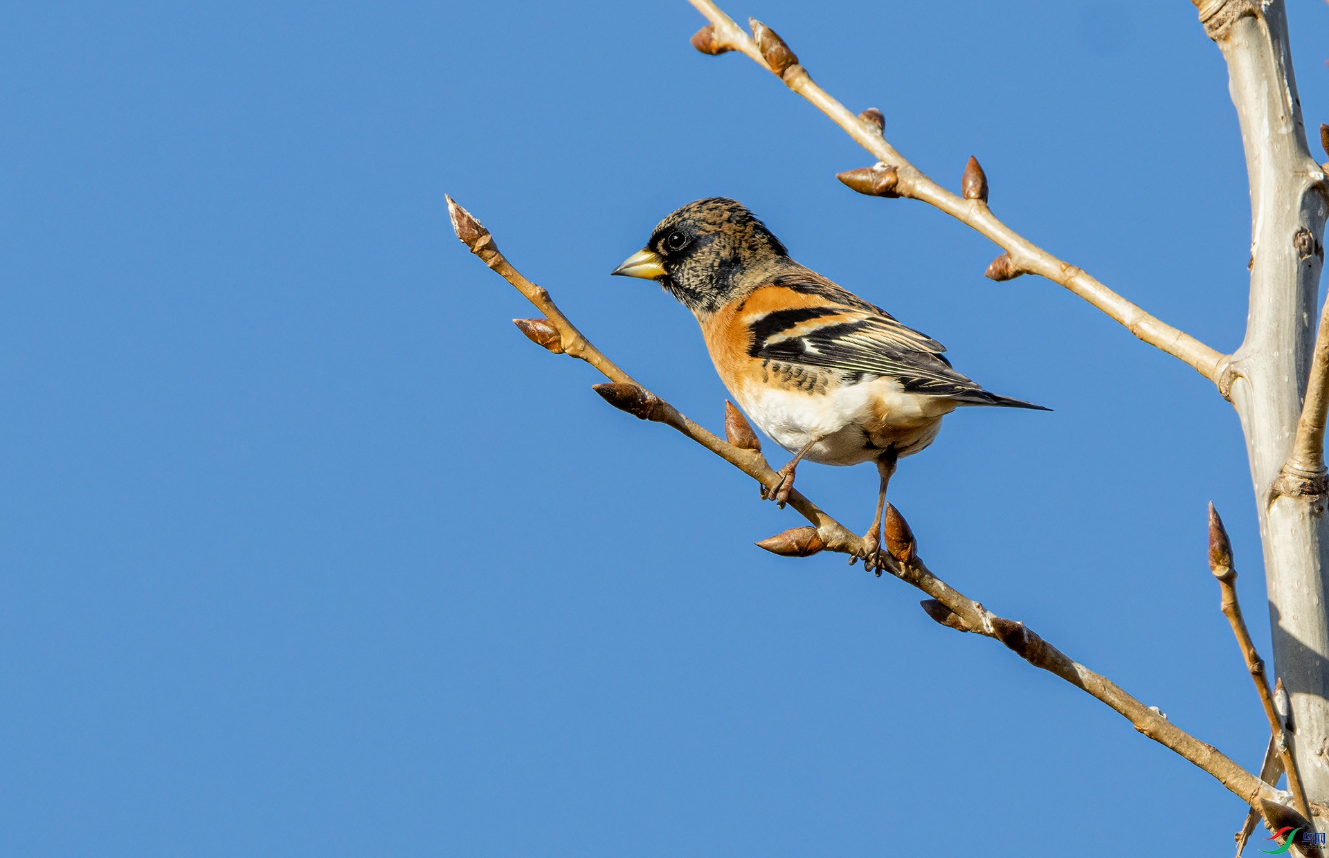 4E9A6698- ����.jpg