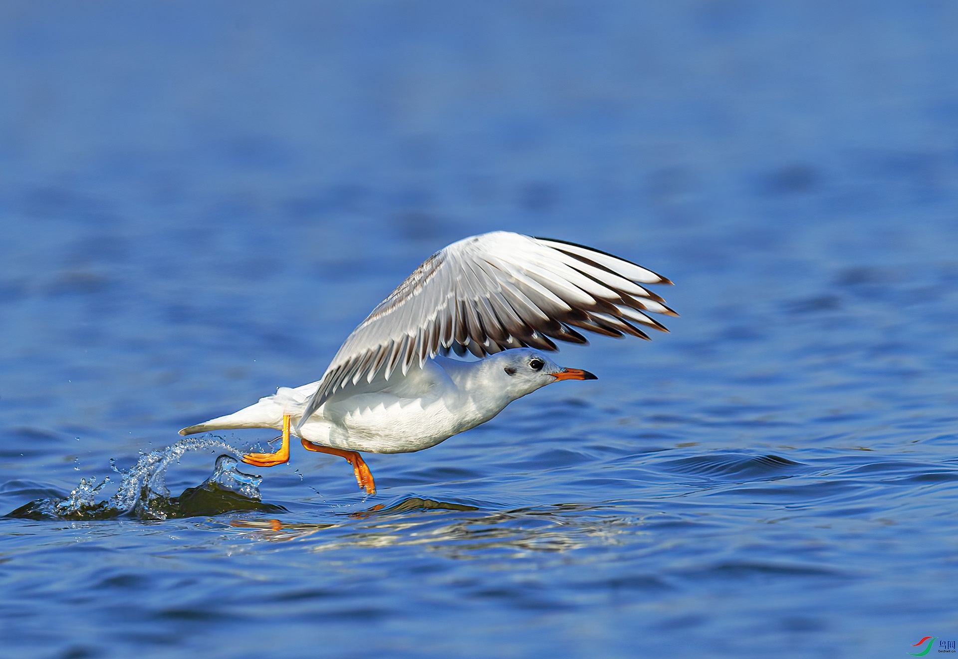 DSC_1804 ����.jpg