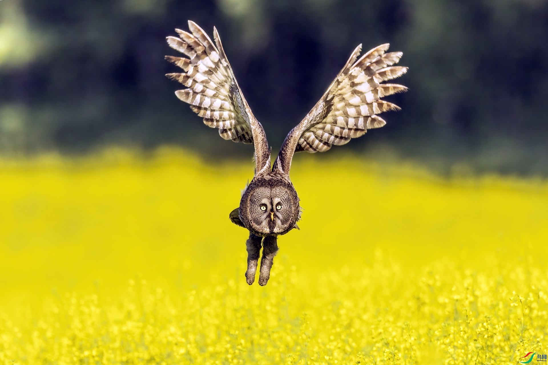 �����^0123-1.jpg