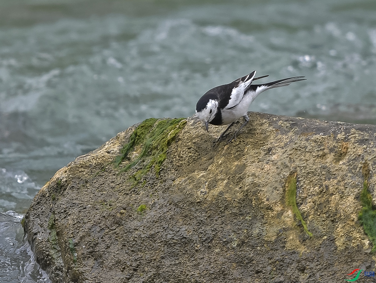 DSC_0697.JPG