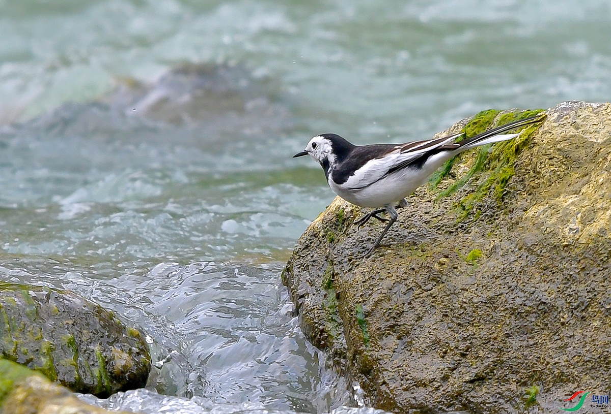 DSC_0703.JPG