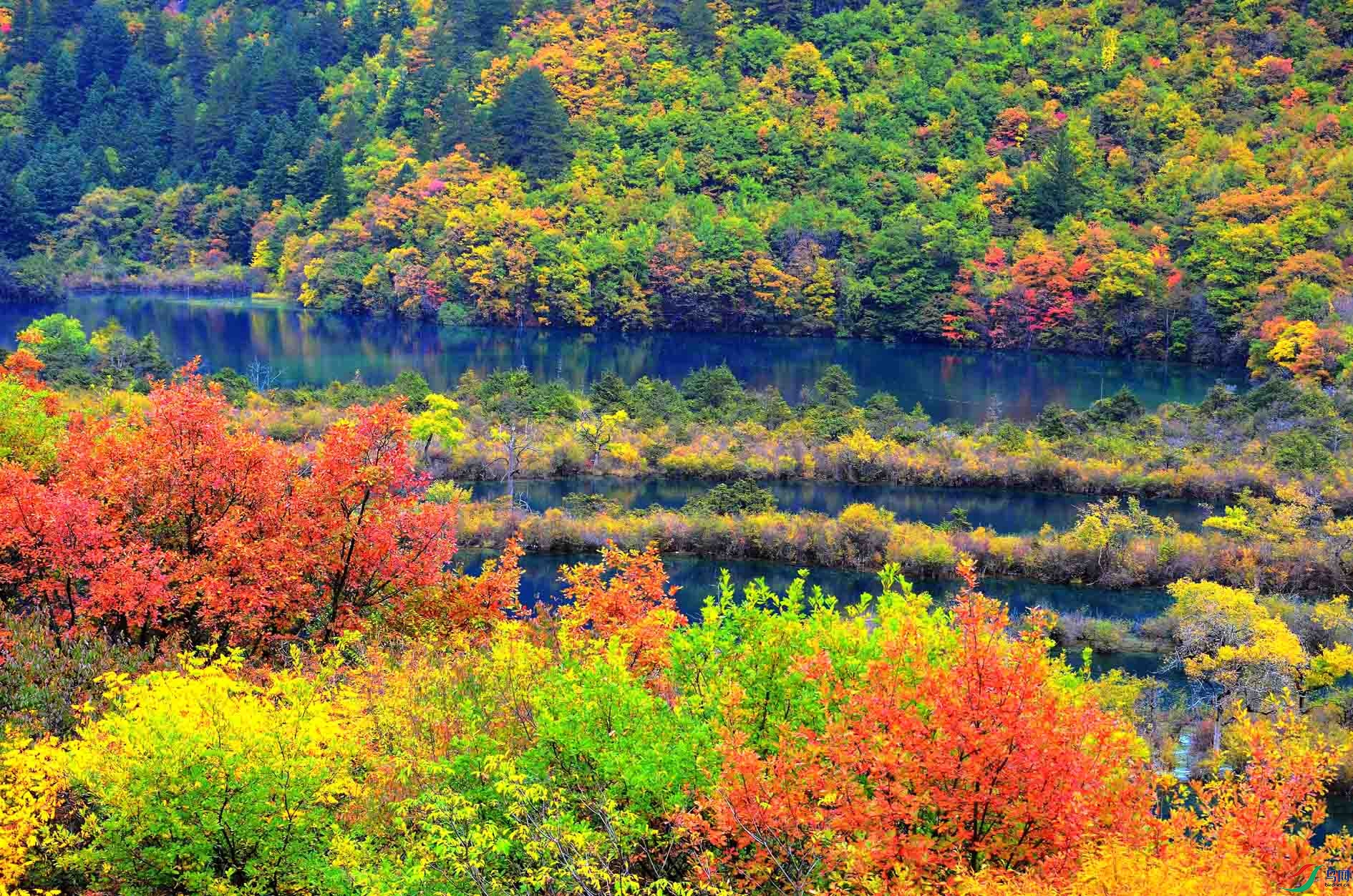 ��կ�� 382.jpg