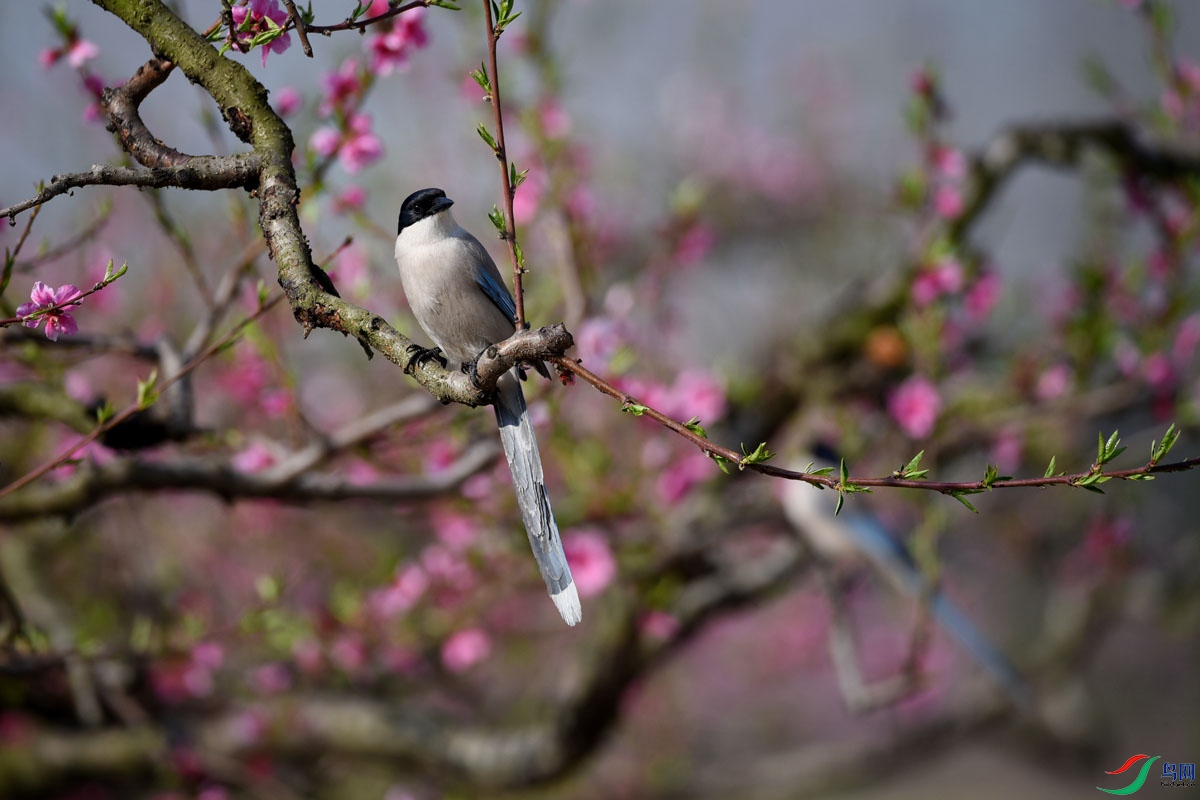 DSC_5109.JPG