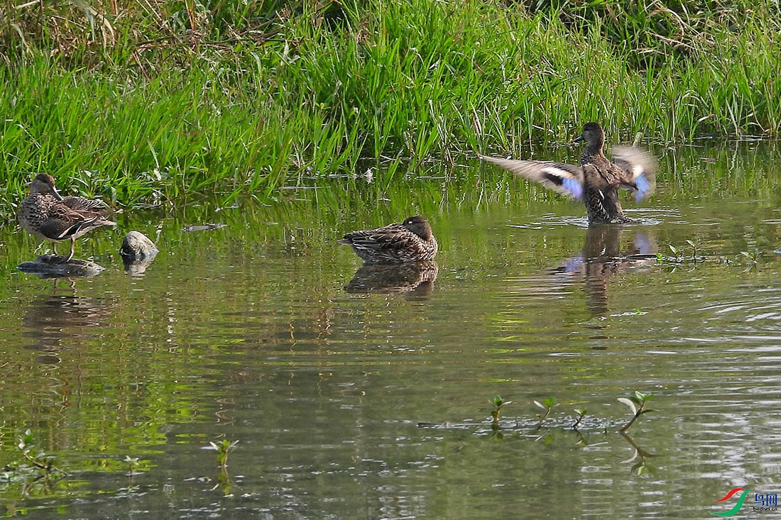 DSCN9364.jpg