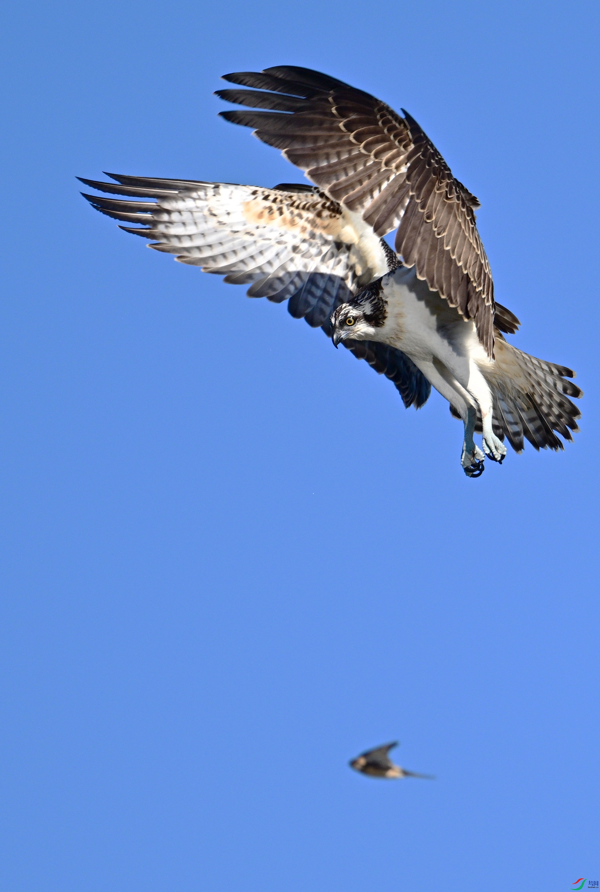 DSC_0187_����.jpg