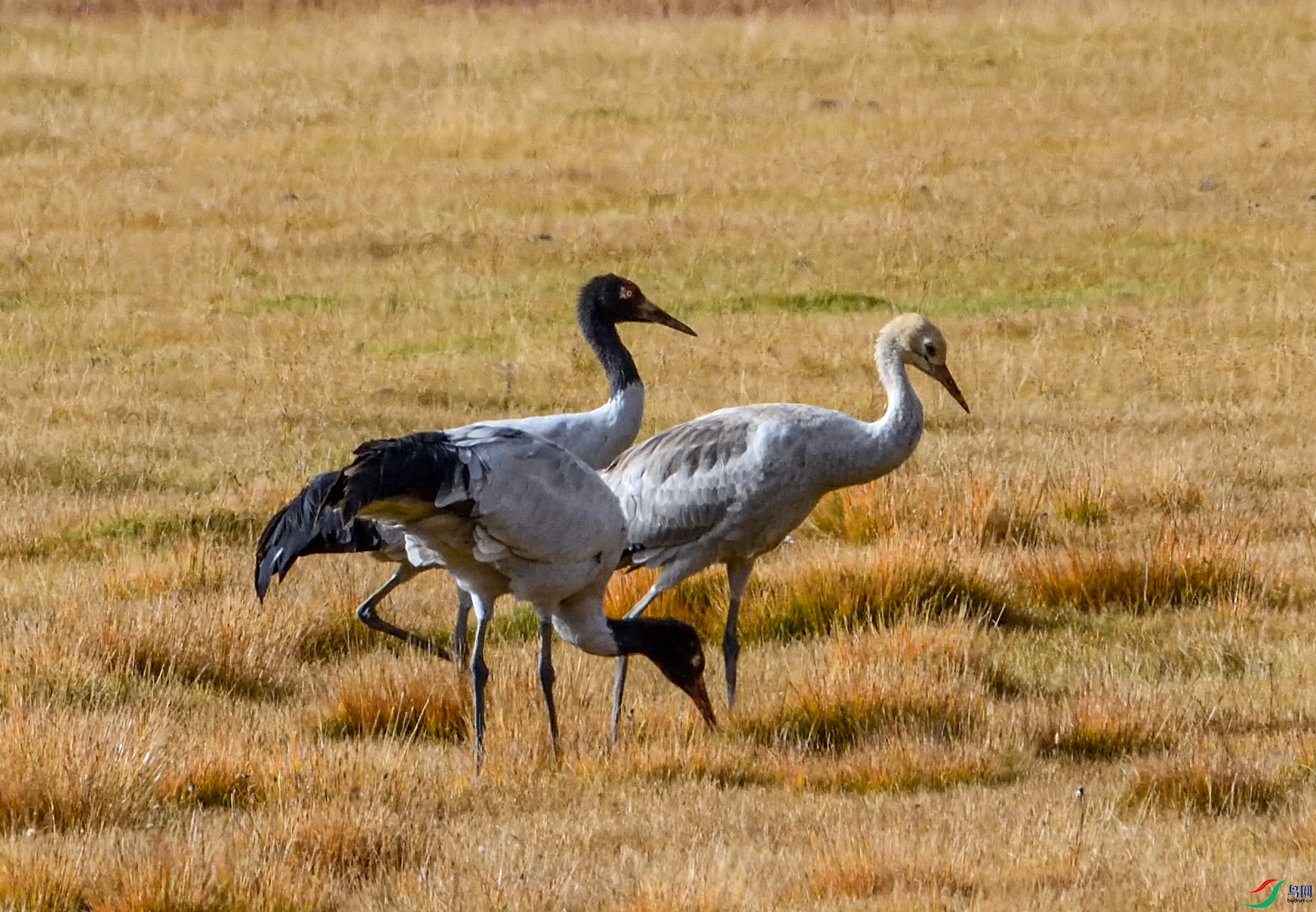 DSC_1188.JPG