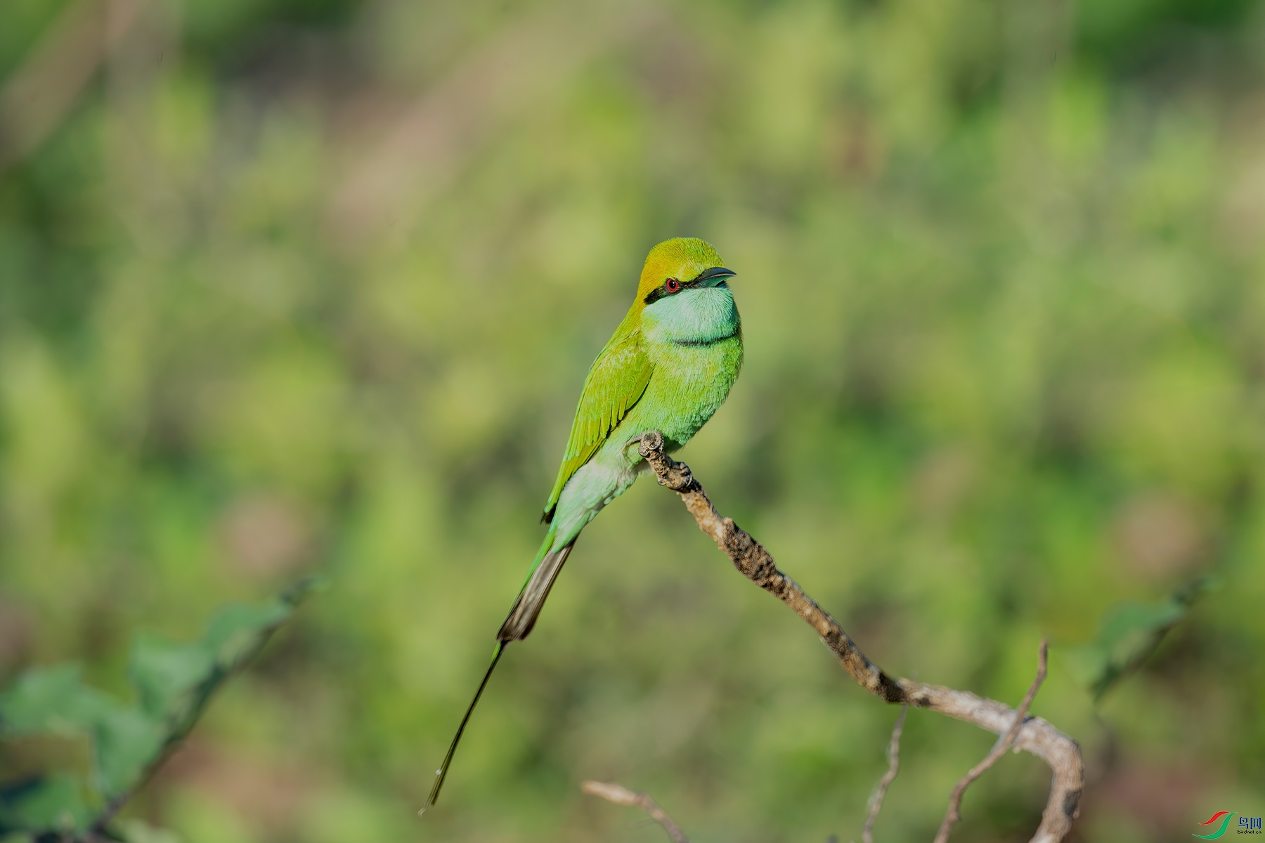DSC_6581-DeNoiseAI-low-light_����.jpg