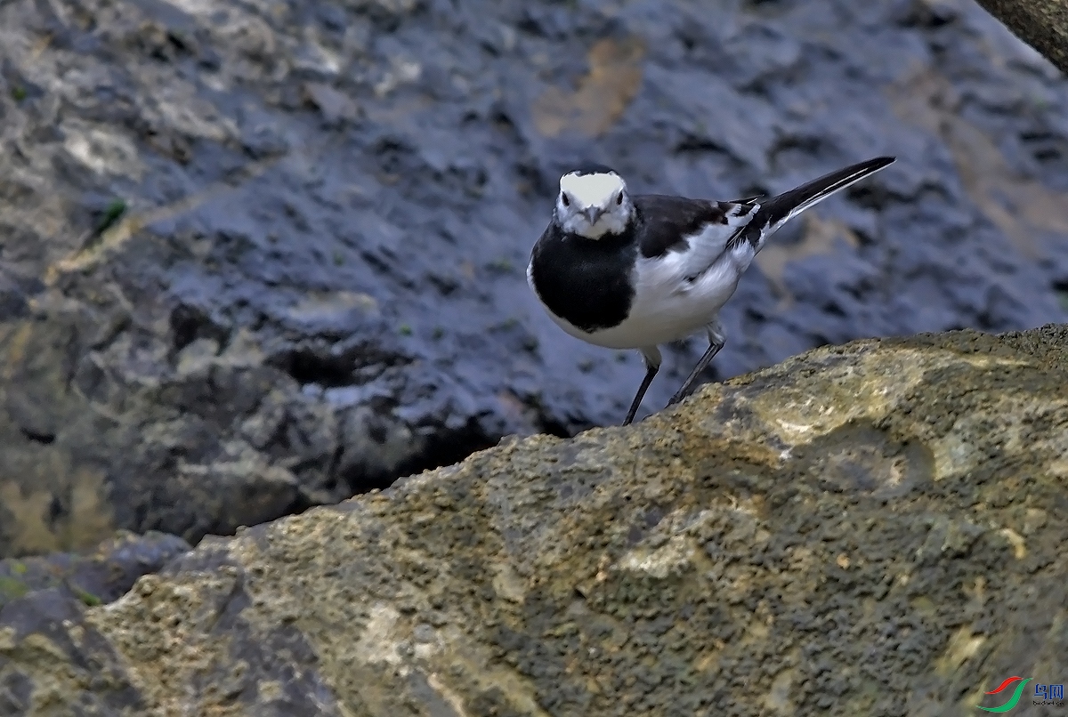 DSC_0788.JPG