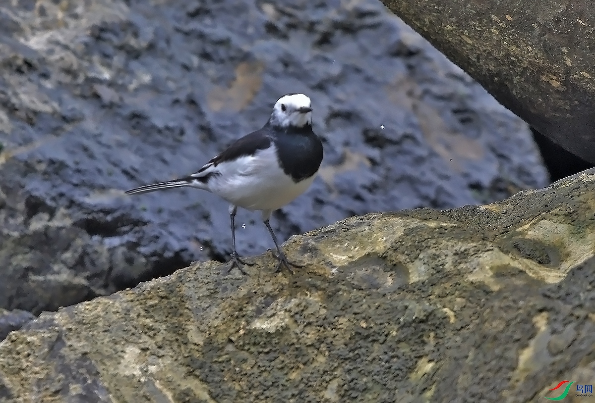 DSC_0790.JPG