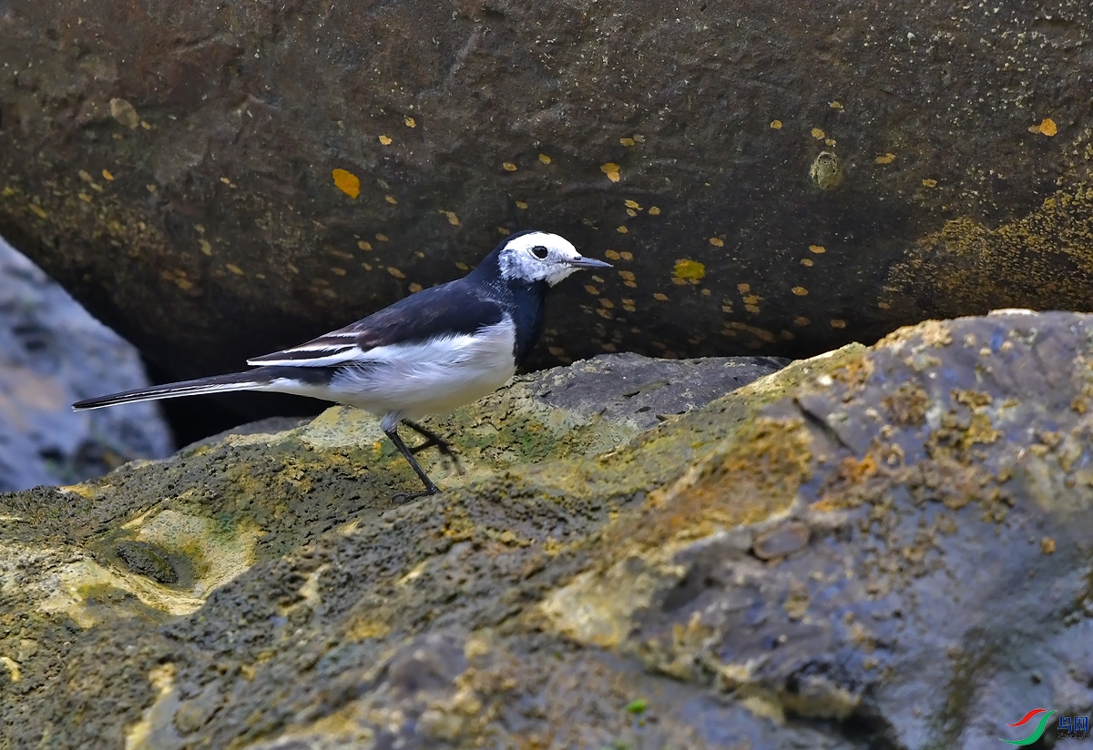 DSC_0796.JPG